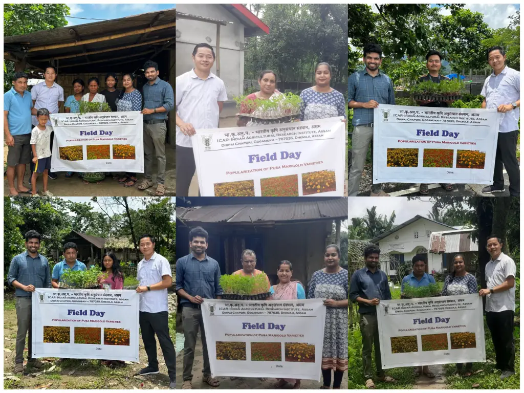ICAR–IARI, Assam Conducts Field Day to Promote Improved Pusa Marigold Varieties at Gogamukh on 8 July 2026.