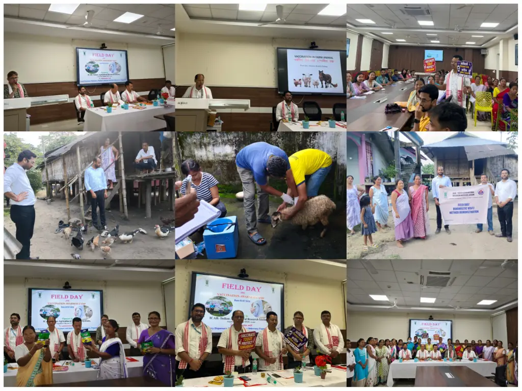 ICAR–IARI, Assam Organizes Field Day-cum-Vaccination Awareness Camp on Scientific Livestock Health Management